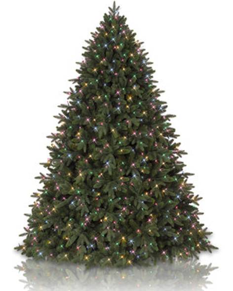Durango Douglas Fir - child-1